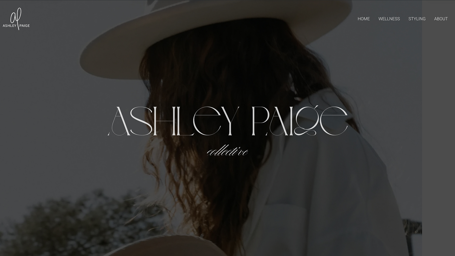 apcCover_1080px